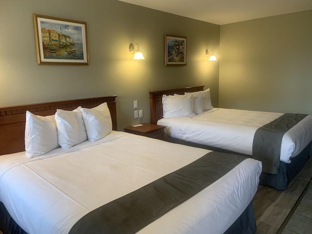 Standard Single Room, 2 Queen Beds photo 3