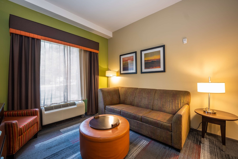 Suite, 1 King Bed, Non Smoking - Photo 10