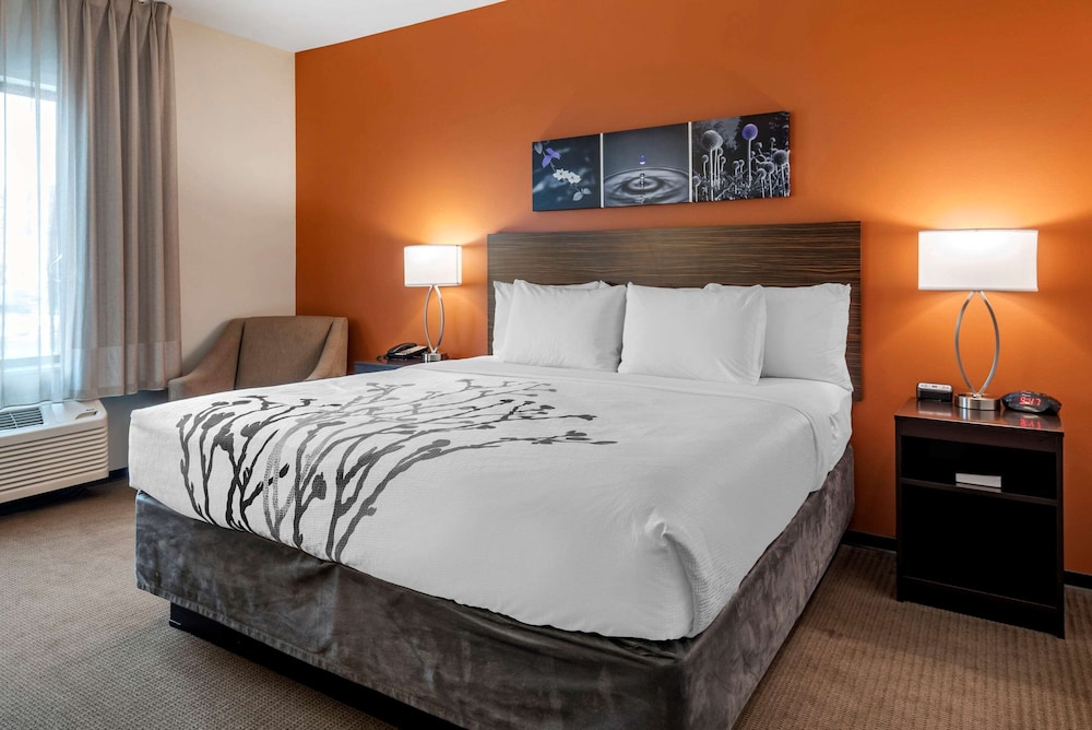 Suite, Multiple Beds, Accessible, Non Smoking photo 1