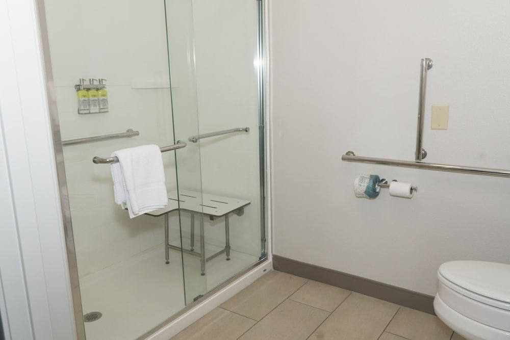 Room, 1 King Bed, Accessible (Communications, Roll-In Shower) - Photo 7