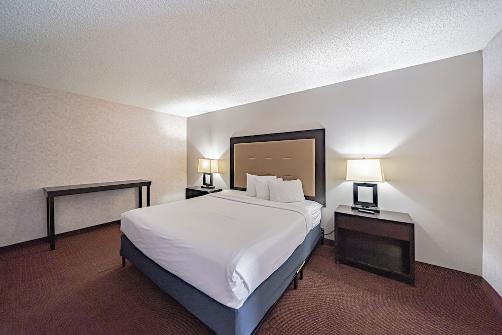 Standard Suite, 1 King Bed, Non Smoking photo 2