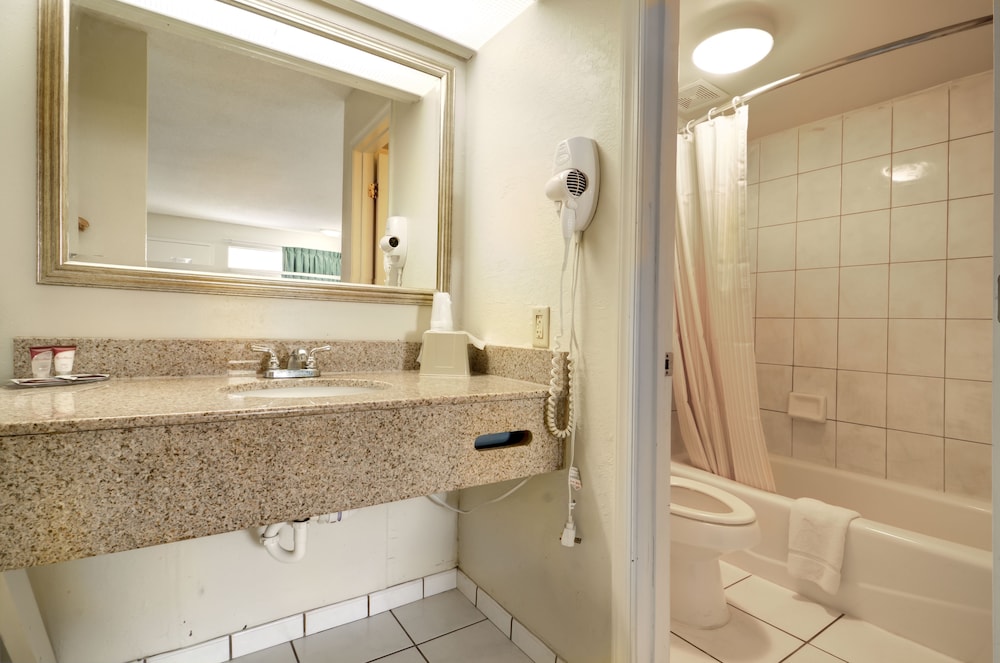 Deluxe Queen Kitchenette photo 3