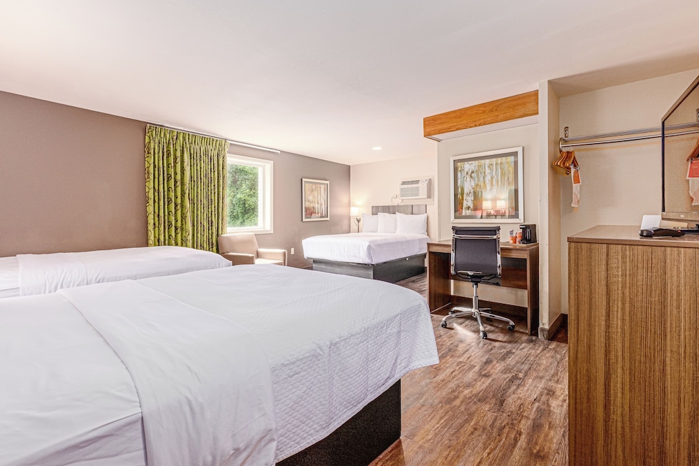 Room, Multiple Beds, Non Smoking - Photo 1