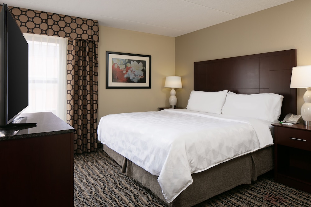 Suite, 1 King Bed - Photo 5