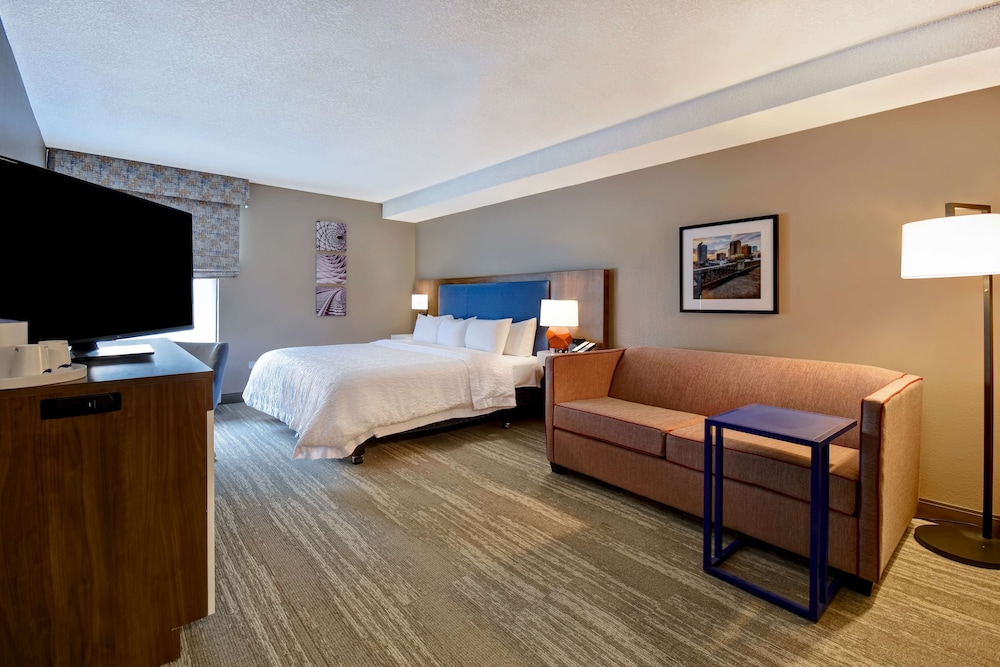 Room, 1 King Bed with Sofa bed (Mobility & Hearing, Roll-in Shower) - Photo 7