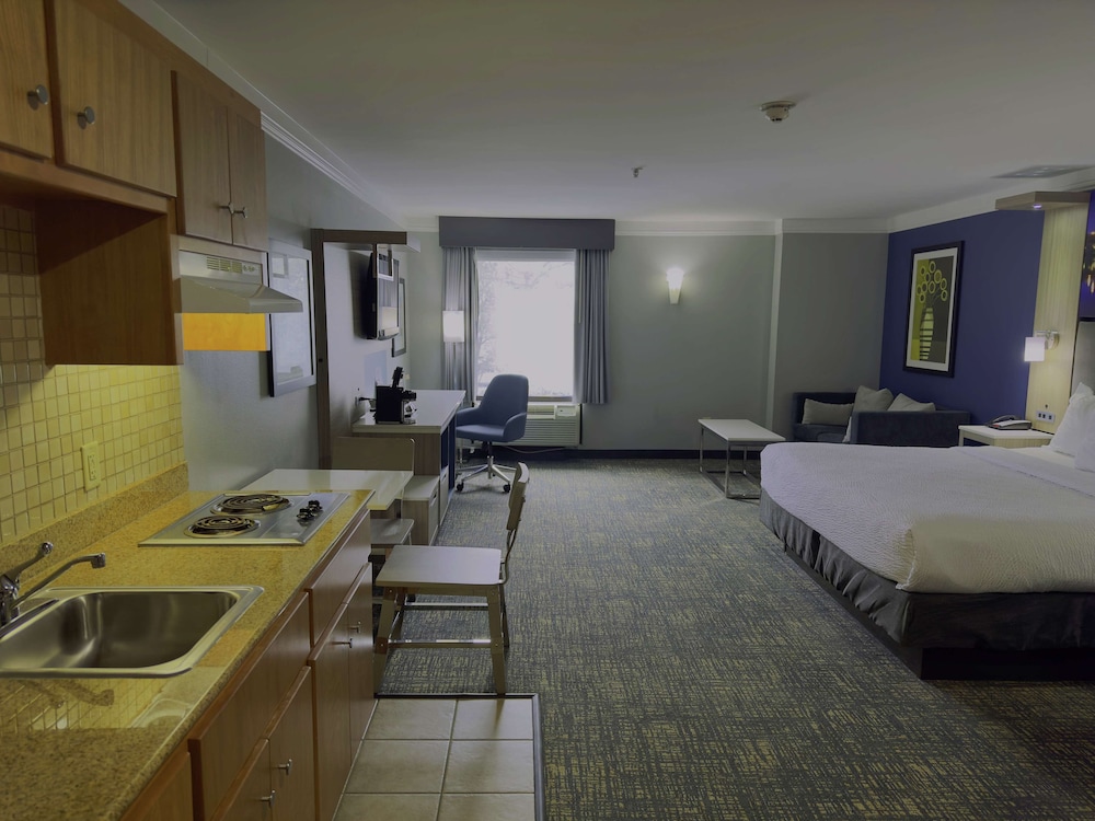 Standard Room, 1 King Bed, Non Smoking, Kitchen (with Single Sofabed) - Photo 1