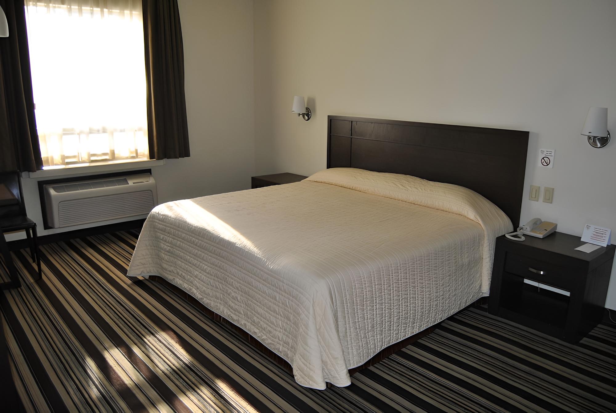 Single Room, 1 King Bed photo 1