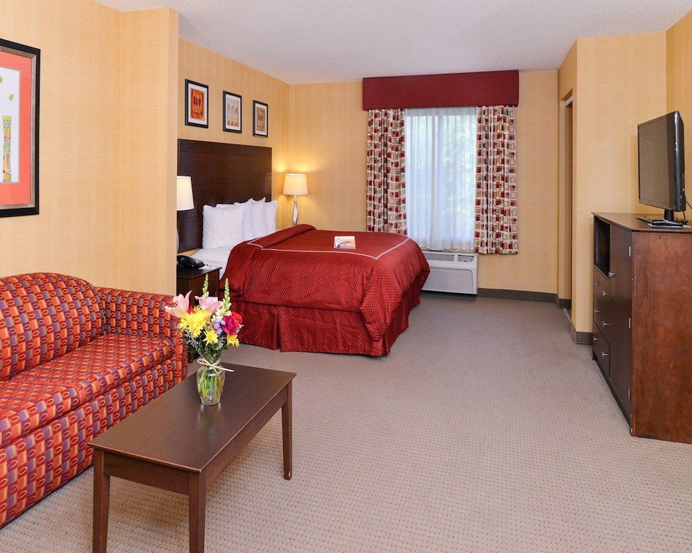 Suite, 1 King Bed with Sofa bed, Non Smoking - Photo 1