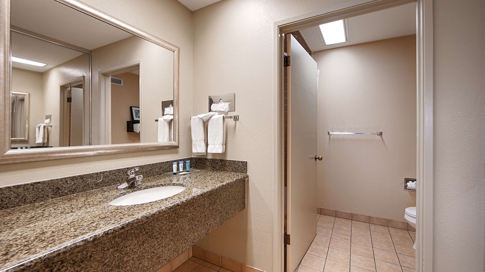 Executive Room, 1 King Bed, Non Smoking, Jetted Tub (With Sofabed) - Photo 8