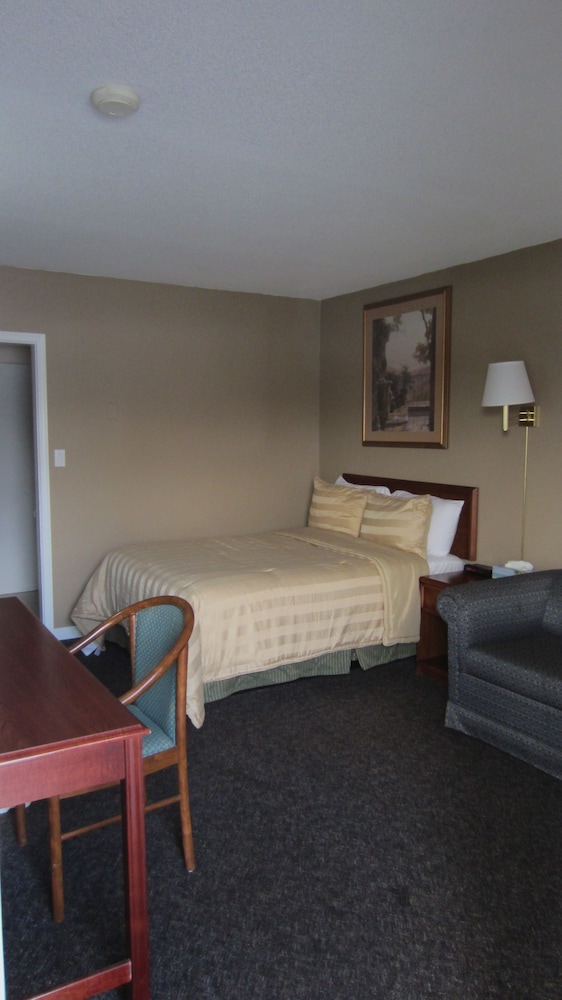 Standard Room, 1 Double Bed with Sofa bed photo 1