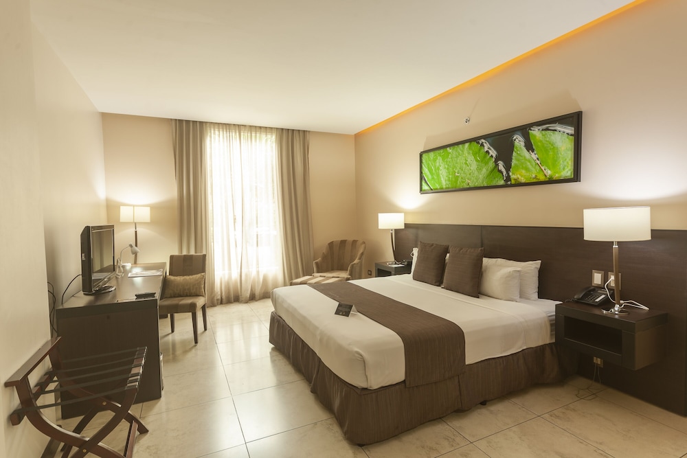 Standard Studio with King Bed - Photo 4