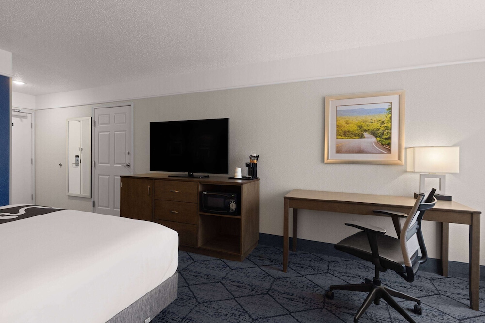 Room, 1 King Bed, Non Smoking photo 2