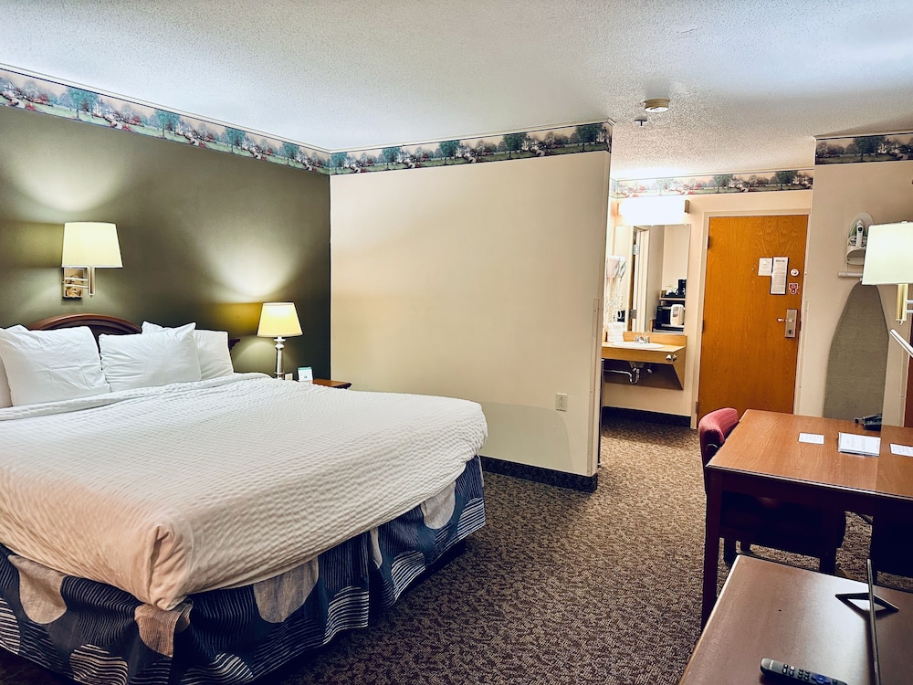 Standard Single Room photo 2