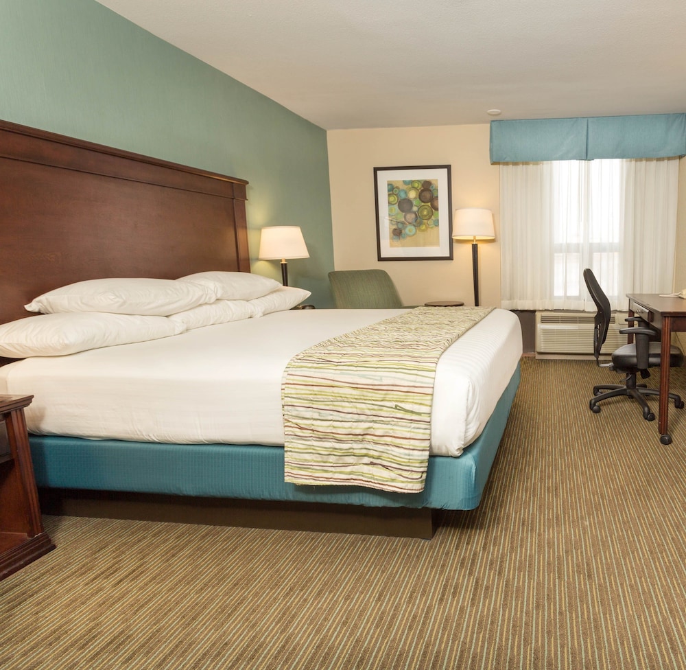 Standard Room, 1 King Bed - Photo 2