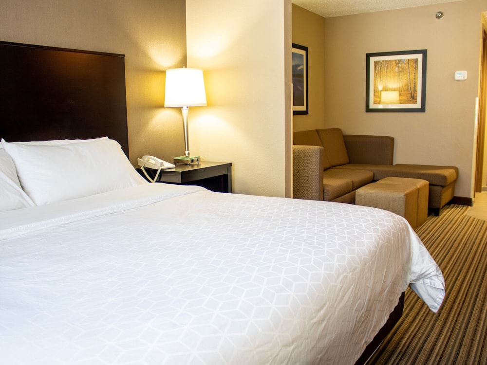 Suite, 1 King Bed (Additional Living Area) - Photo 1
