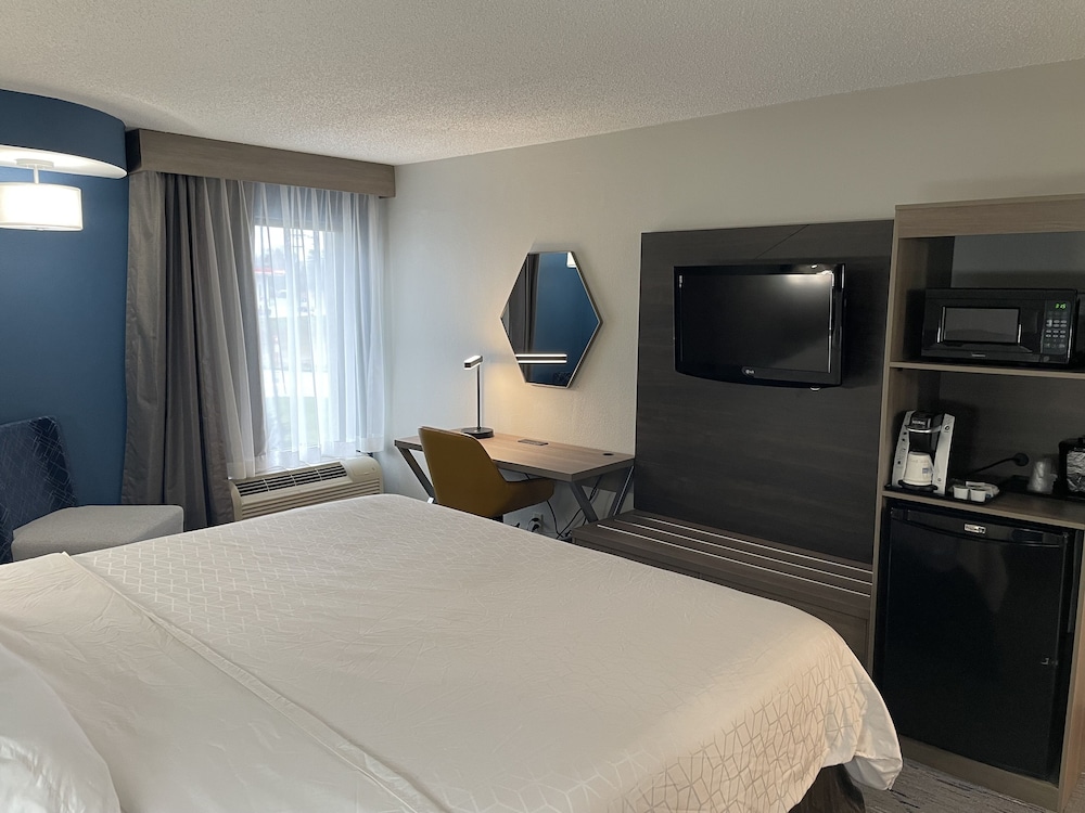 Room, 1 King Bed, Non Smoking (Leisure) - Photo 3