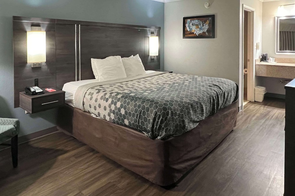 Standard Room, 1 King Bed, Accessible, Non Smoking - Photo 1