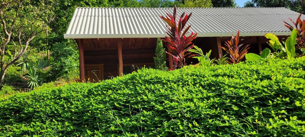 Deluxe Cabin, 1 Bedroom, Mountain View