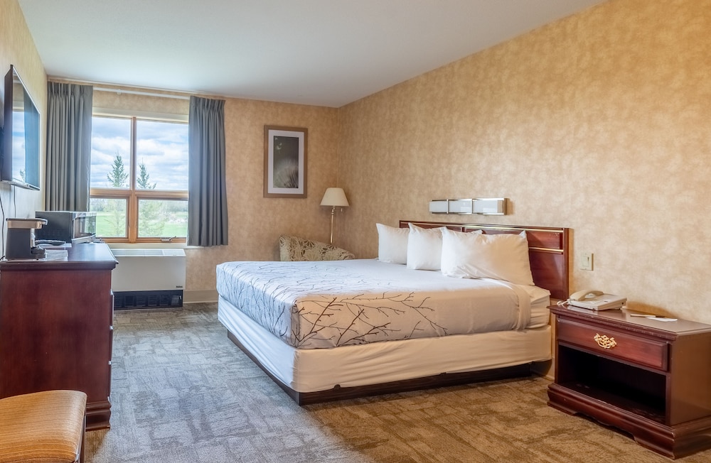 Room, 1 Queen Bed (No Pets Allowed) photo 1