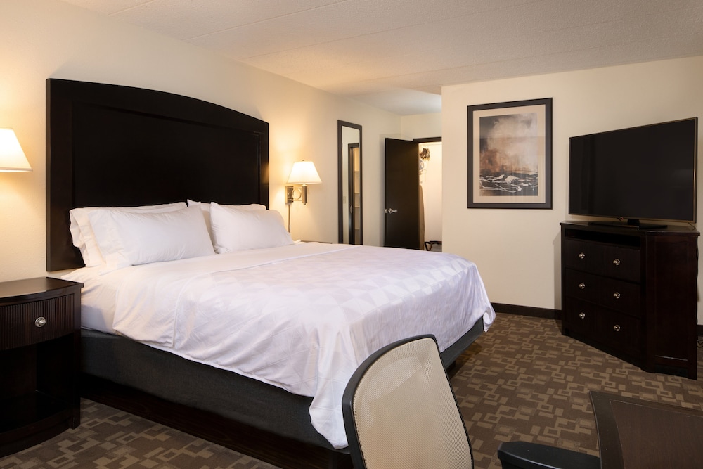 Suite, 1 King Bed, Accessible (Communications) photo 2