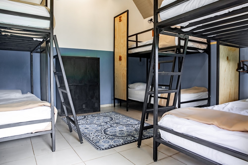 Bed in 6-Bed Dormitory Room photo 3