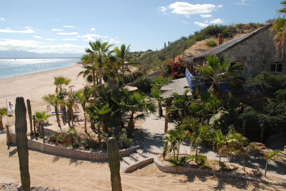 Standard Cabin, 1 Queen Bed, Ocean View photo 2