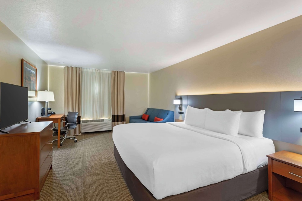 Suite, 1 King Bed with Sofa bed, Non Smoking (Upgrade) photo 1