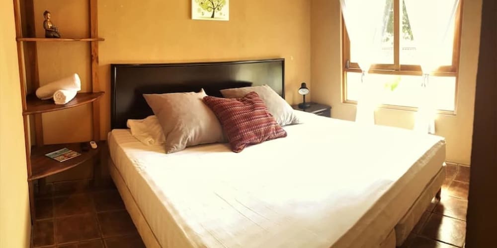 Standard Apartment, 1 King Bed photo 1
