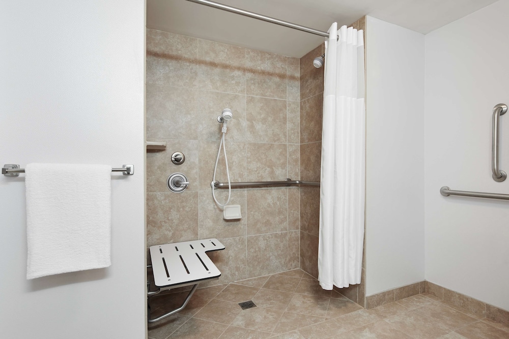 Room, 1 King Bed, Accessible (Roll-in Shower) - Photo 8