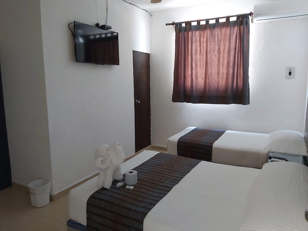 Executive Triple Suite photo 1