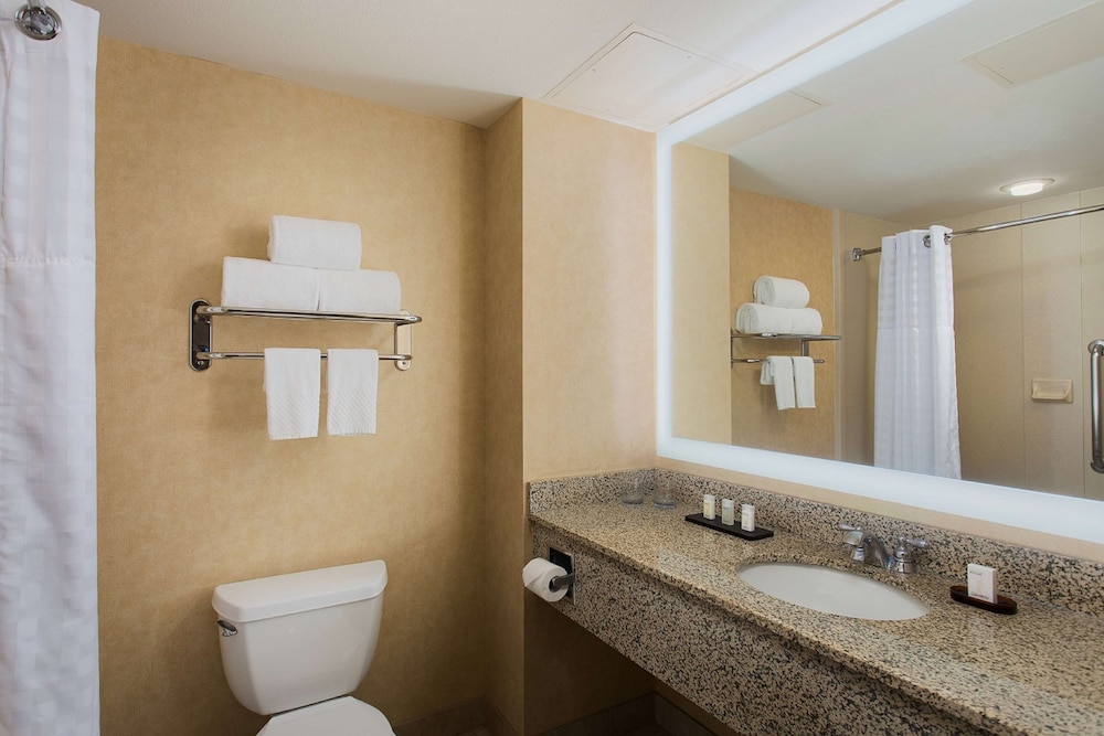 Suite, Accessible, Non Smoking (Hearing) - Photo 4