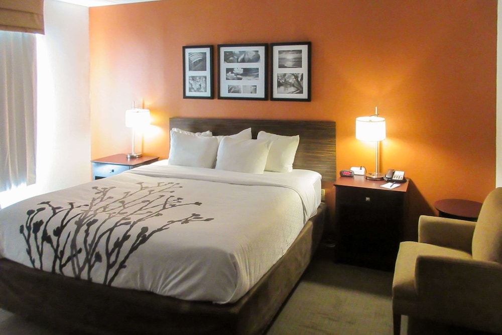 Standard Room, 1 King Bed, Non Smoking - Photo 4