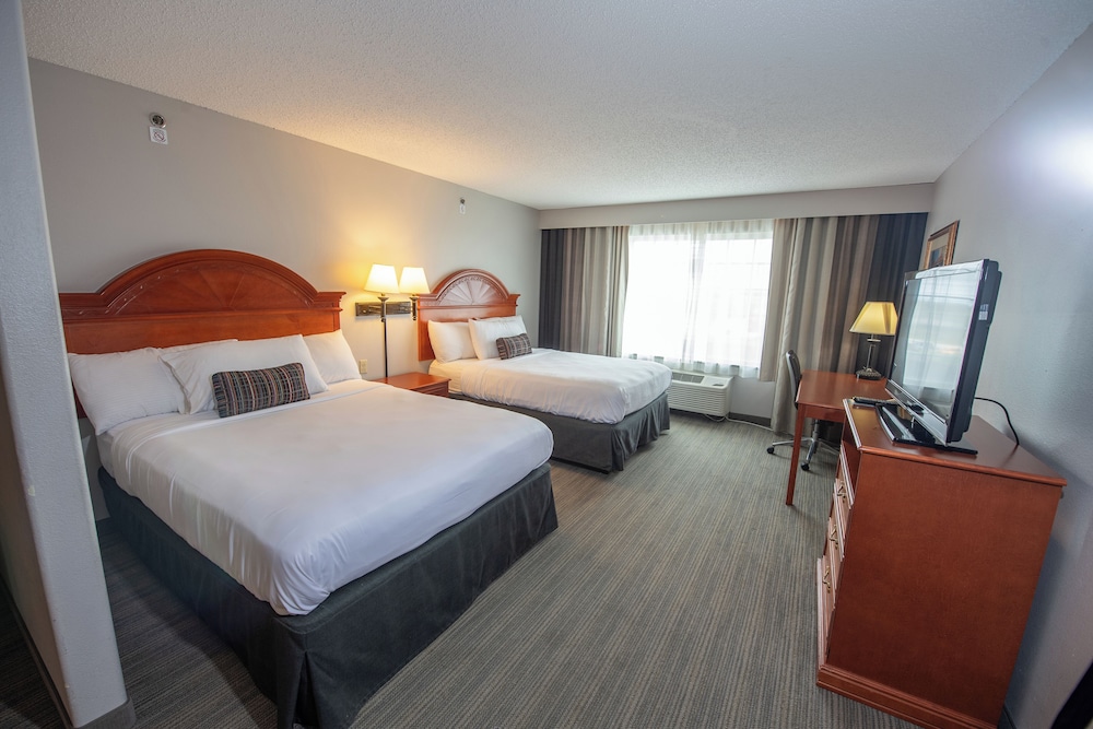 Luxury Studio Suite, Multiple Beds, Non Smoking