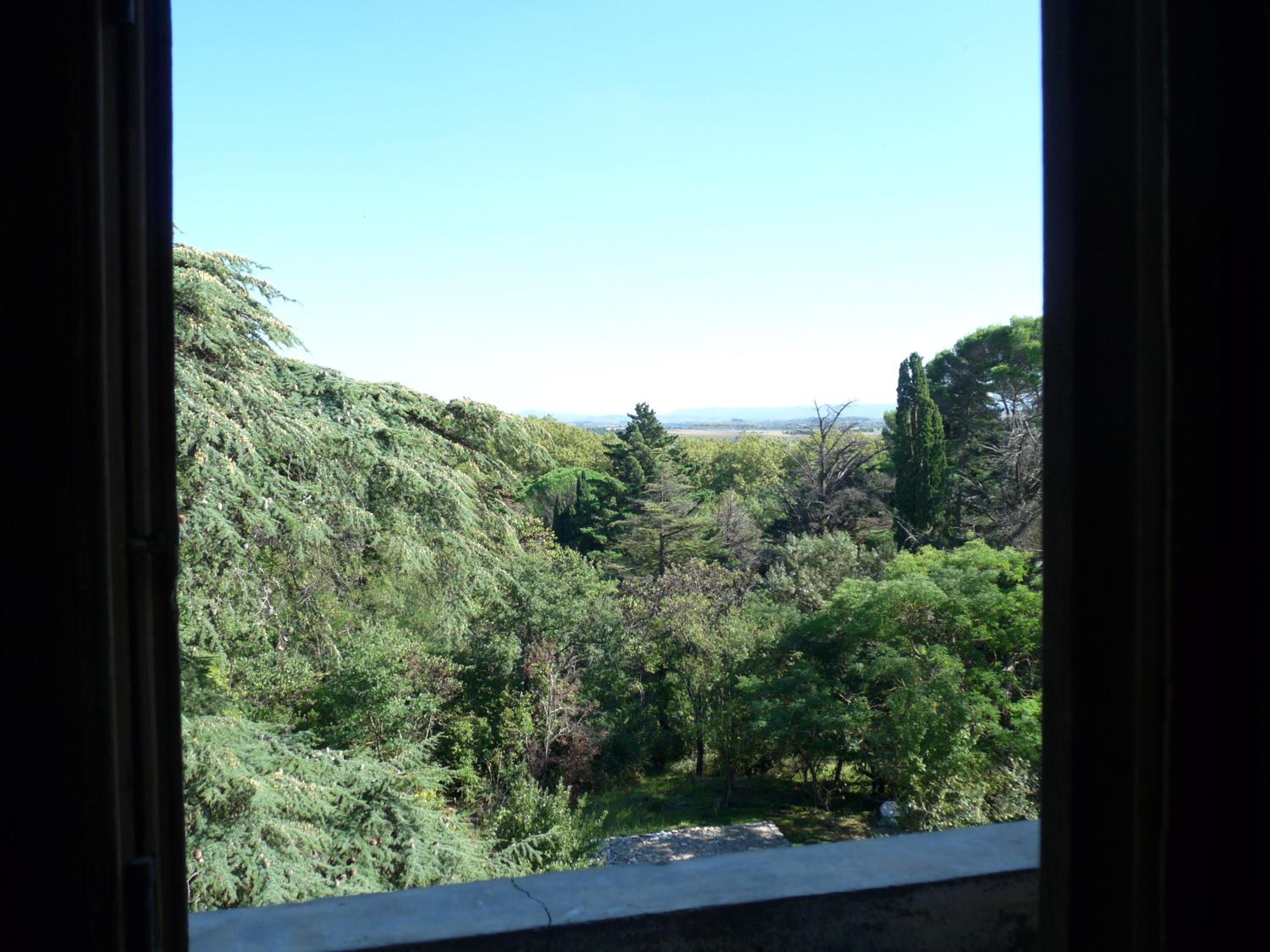 Double Room with Garden View photo 2