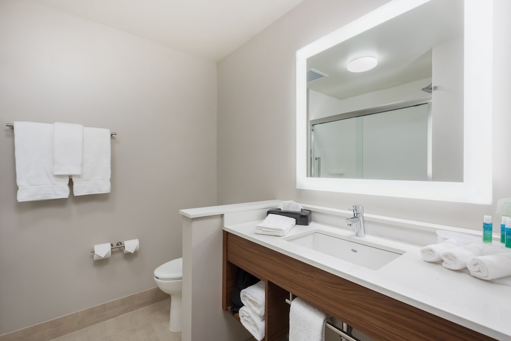 Room, 1 King Bed, Accessible (Mobil Roll In Shwr) - Photo 3