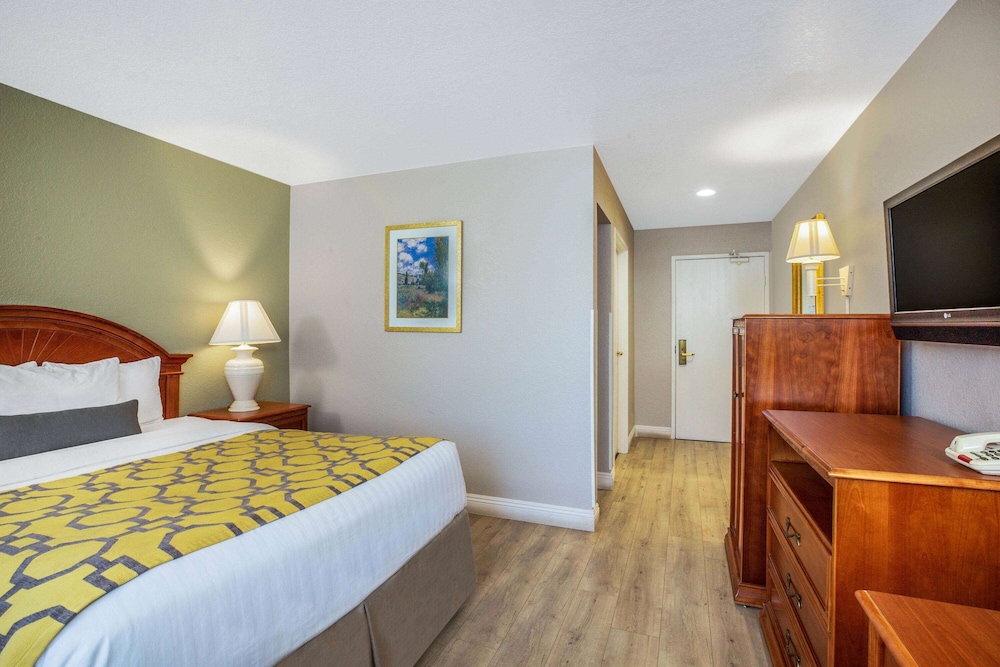One Queen Bed Mini Suite - Photo 1