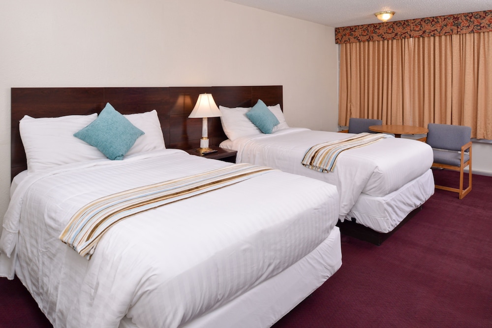 Double Room, Refrigerator & Microwave