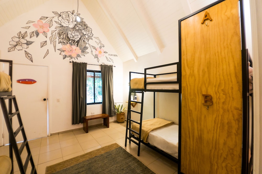 Bed in 4-Bed Dormitory Room photo 2