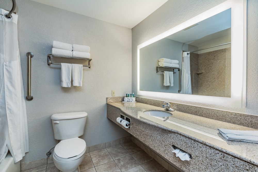 Suite, 1 King Bed - Photo 17