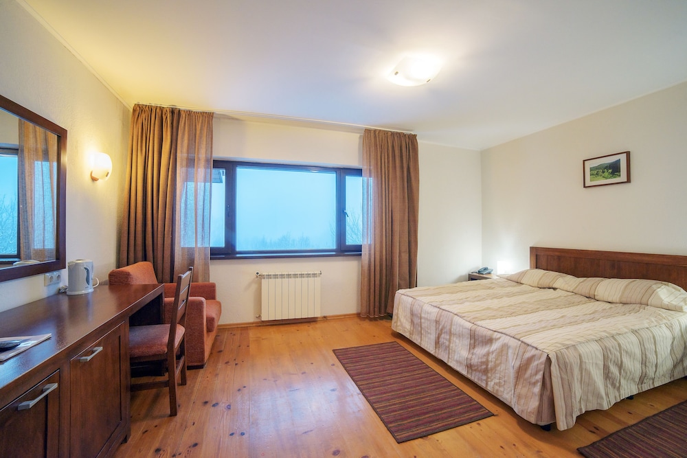 Deluxe Double Room photo 1