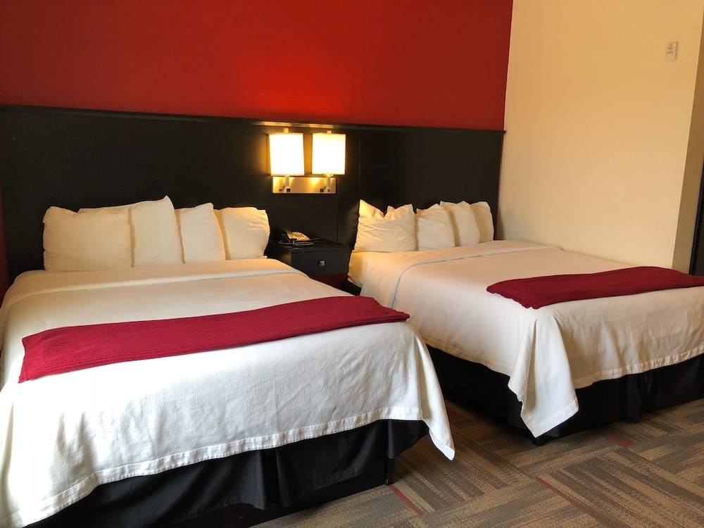 Suite, 2 Queen Beds, Non Smoking, Kitchenette photo 1