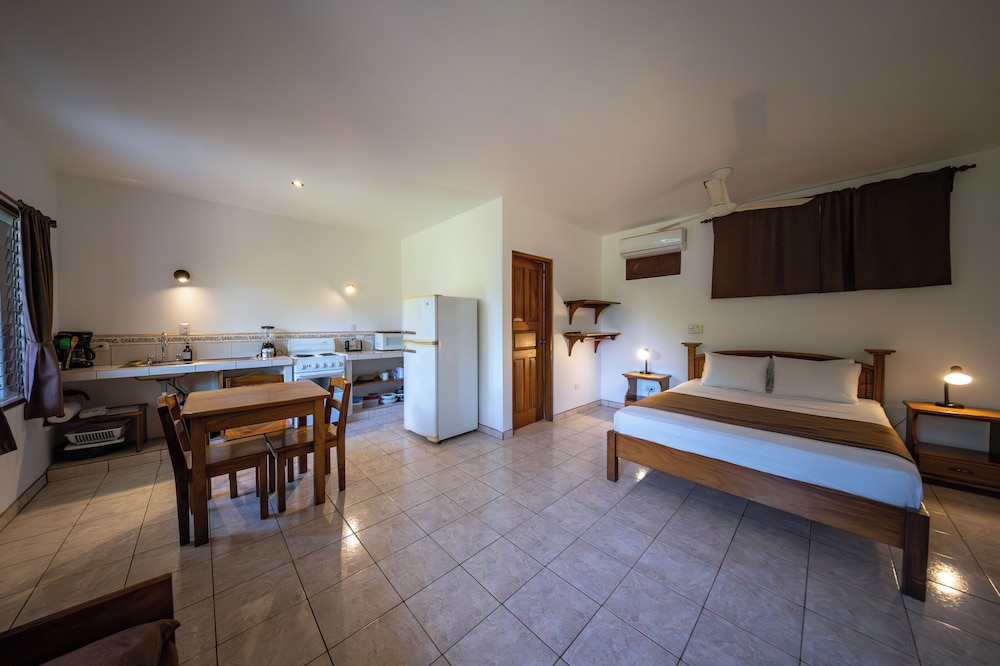 Standard Studio, Kitchen, Garden View