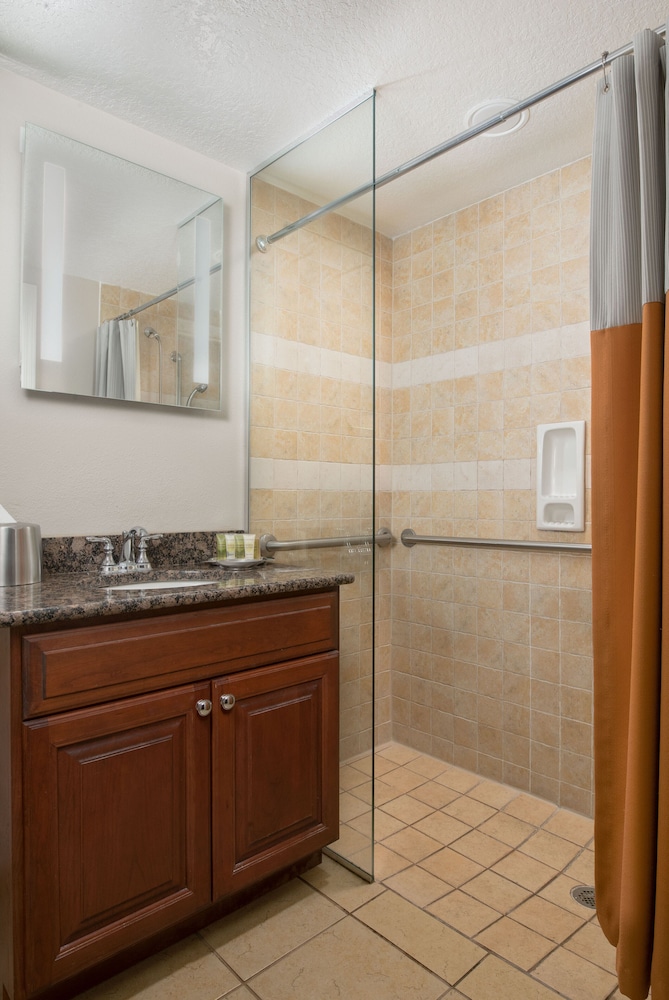 Studio, 1 King Bed, Accessible, Kitchenette (Roll-in Shower) thumbnail 5