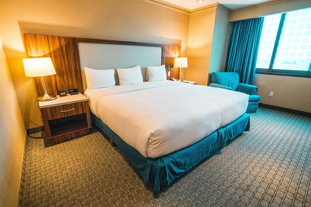 Executive Room, 1 King Bed - Photo 2