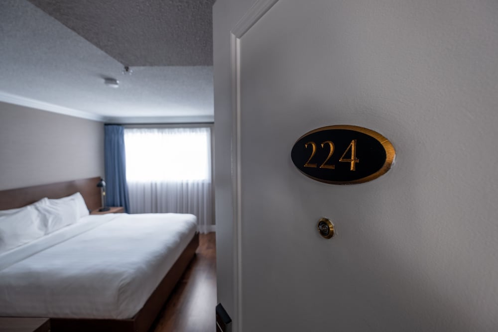 King Designer Suite photo 2