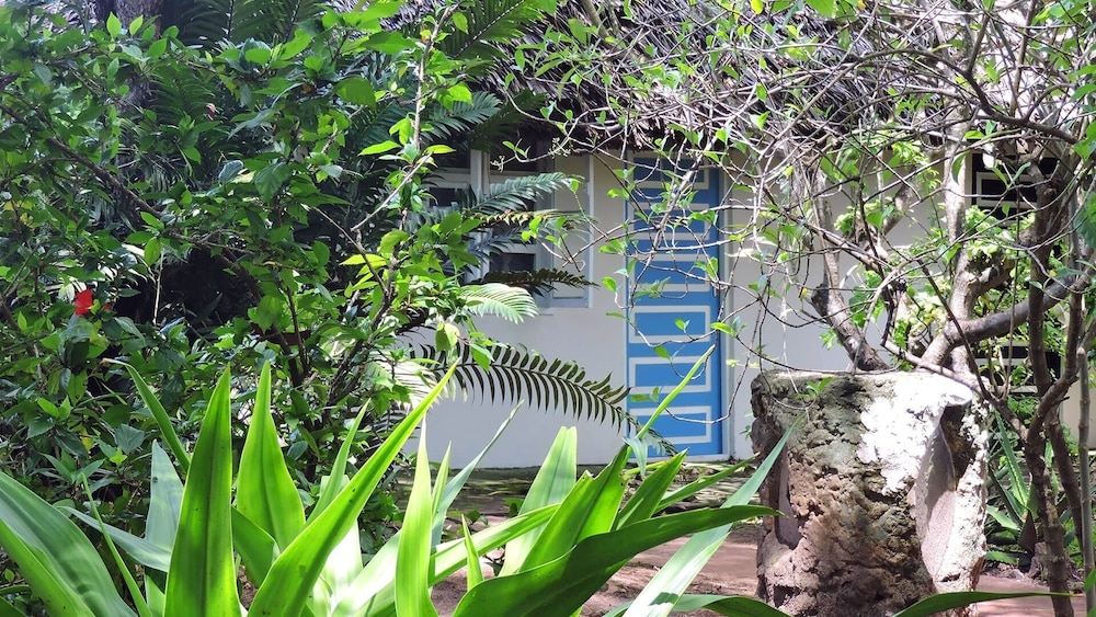 Design Bungalow