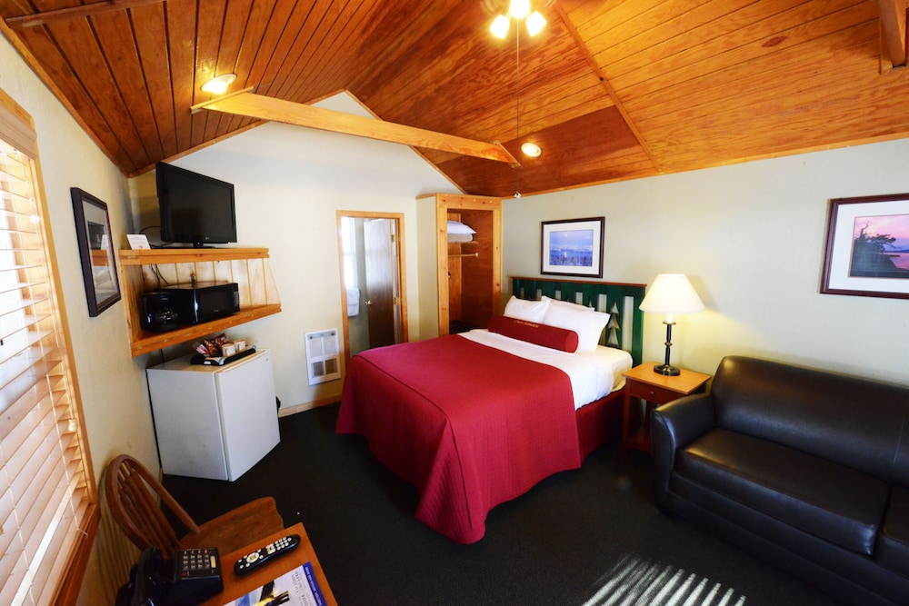 Studio Cabin photo 1