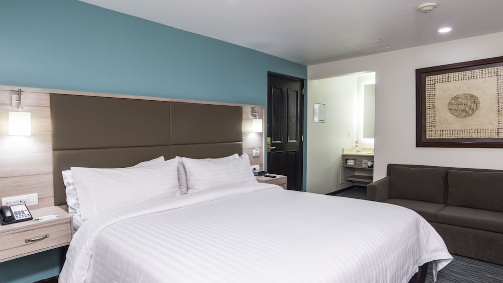 Suite, 1 King Bed - Photo 6
