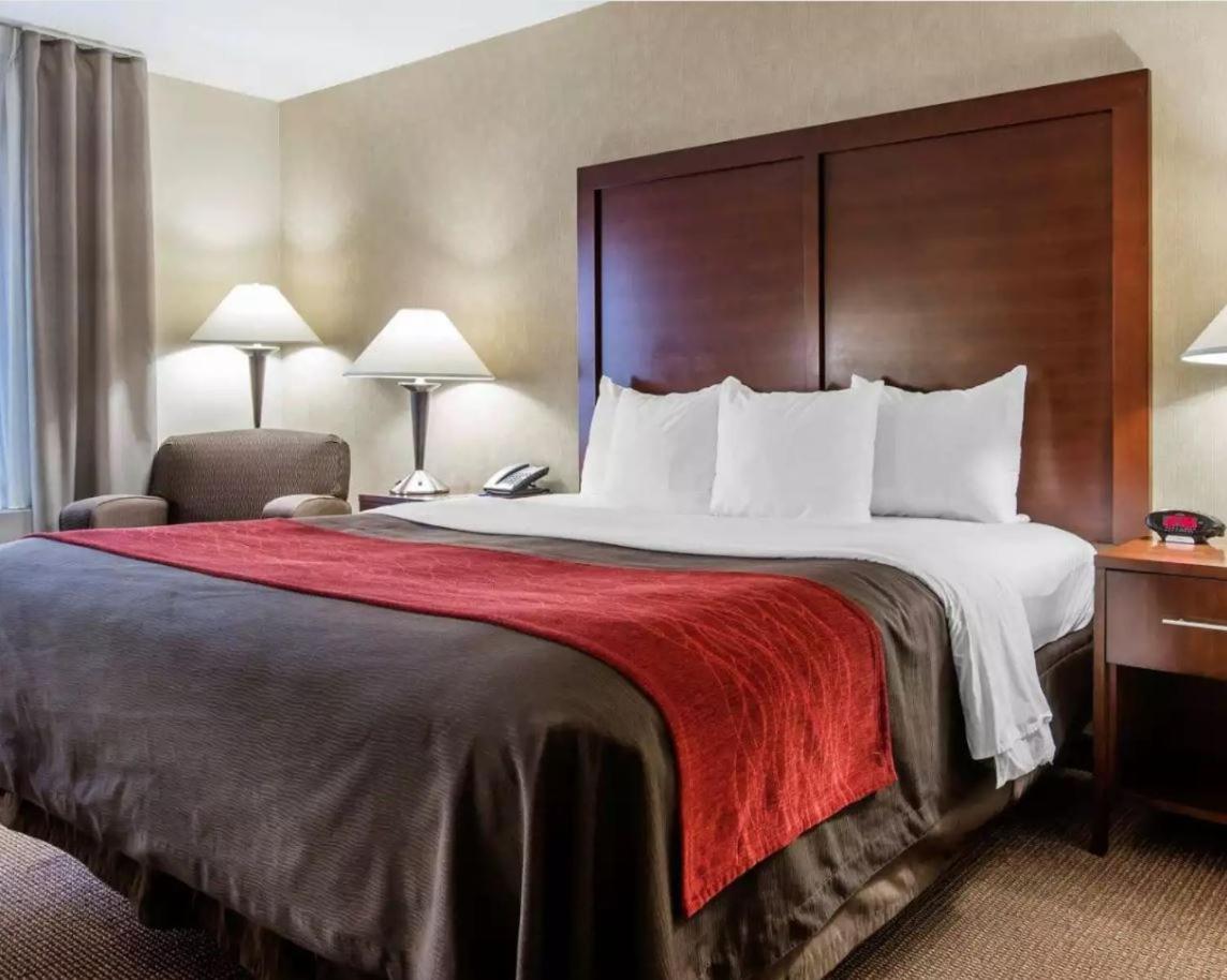 King Room photo 1