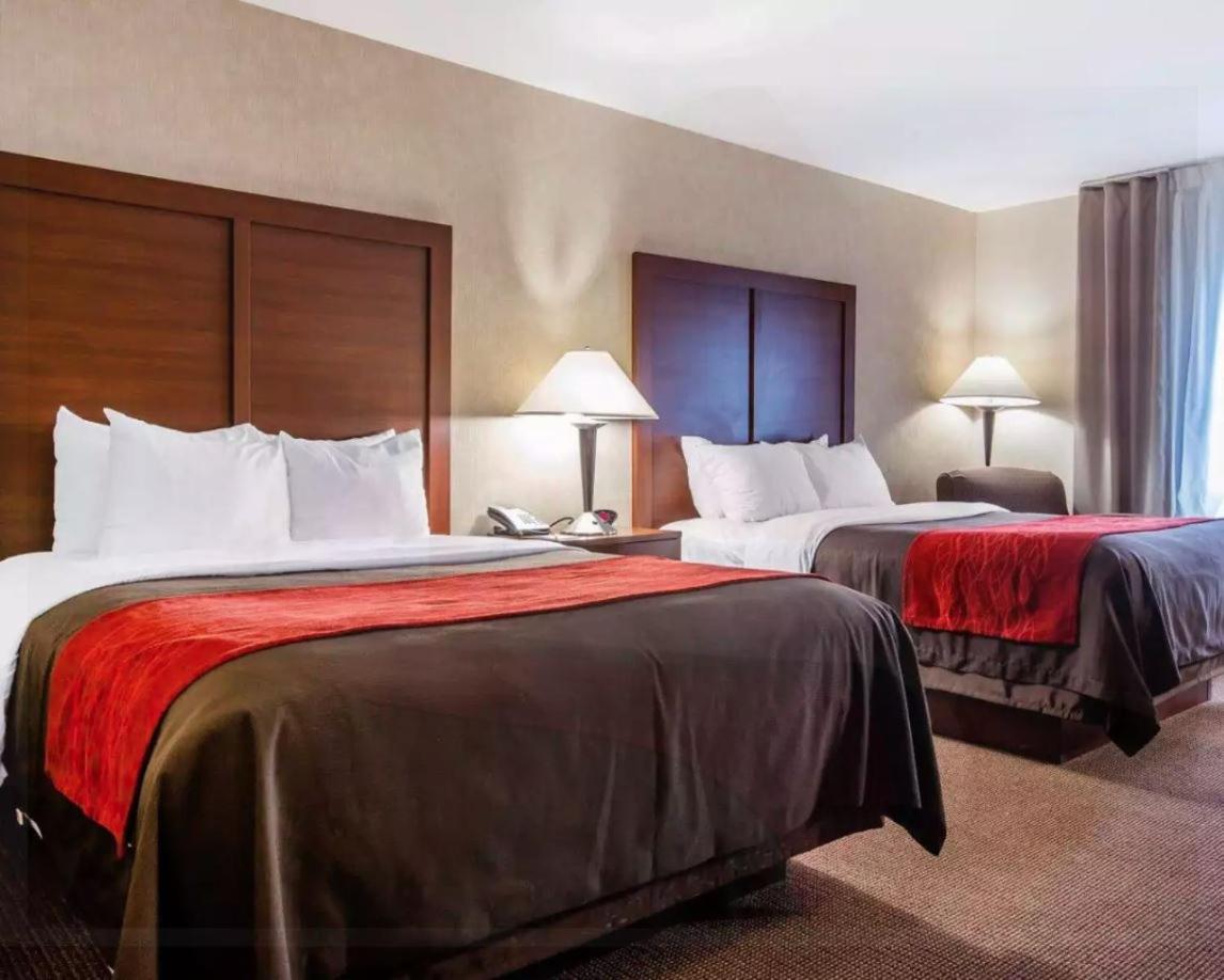 Queen Room photo 1